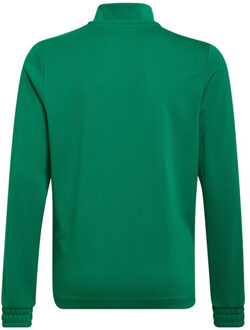 adidas Kinderen/kinderen entrada 22 trainings sweatshirt - maat 128 Groen