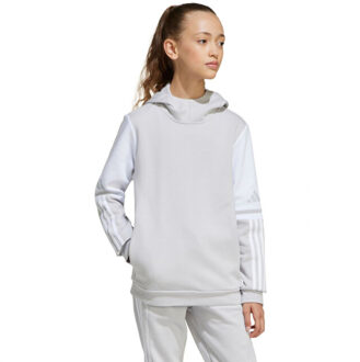 adidas Kinderen/kinderen squadra 25 hoodie Grijs - 146