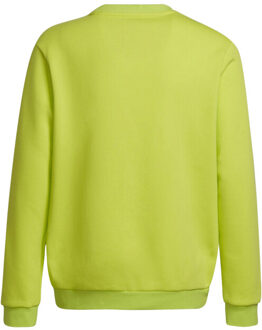 adidas Kinderen/kinderen sweatshirt Groen - 146/152