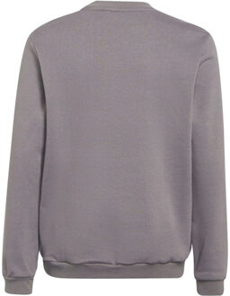 adidas Kinderen/kinderen sweatshirt - maat 140 Grijs
