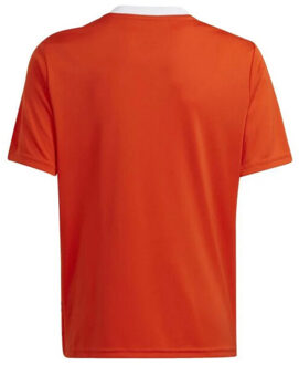 adidas Kinderen/kinderen team icoon 23 t-shirt Oranje - 140