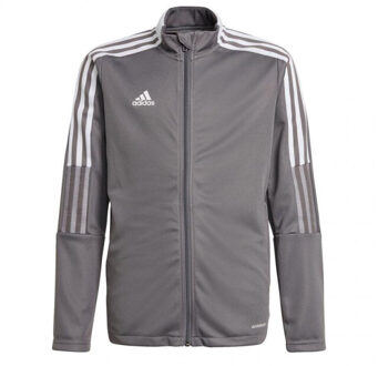 adidas Kinderen/kinderen tiro 21 track sweatshirt - maat 158/164 Grijs