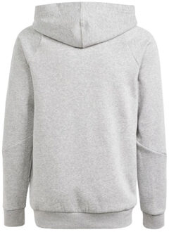 adidas Kinderen/kinderen tiro 24 hoodie Grijs - 128