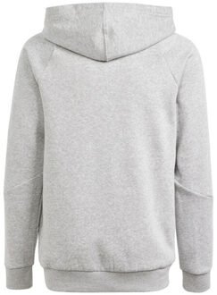 adidas Kinderen/kinderen tiro 24 hoodie Grijs - 128