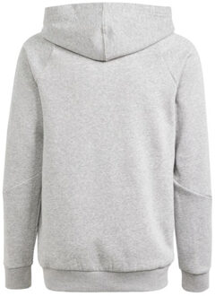 adidas Kinderen/kinderen tiro 24 hoodie Grijs - 158/164