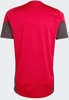adidas lfc tr jsy trainingshirt replica voetbal - Rood - M