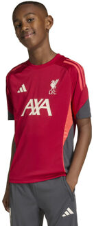 adidas lfc tr jsy y replica voetbal trainingshirt korte mouw jongens - Rood - 140