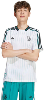 adidas Liverpool Fc Terrace Icons Jersey Truien/Replica's Kinder - Wit - Maat 171 - 176 CM - Poly Mesh White