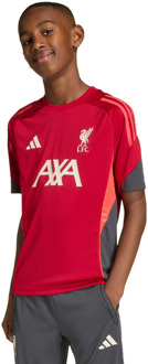 adidas Liverpool Fc Tiro 25 Training Jersey Truien/Replica's Kinder - Rood - Maat 171 - 176 CM - Poly Mesh Red