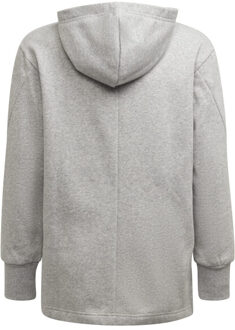 adidas Meisjes groot logo hoodie Grijs - 152