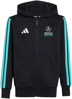 adidas mercedes Hoodies Kinder - Zwart - Maat 159 - 164 CM - Katoen Jersey Black