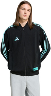 adidas mercedes Trainingspakken Heren - Zwart - Maat XXL - Poly Mesh Black
