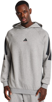 adidas One Bball Hoodie Hoodies Heren - Grijs - Maat L Grey