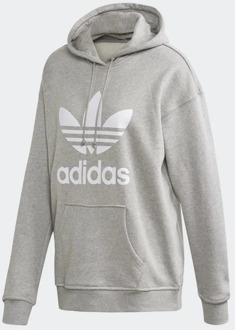 adidas Originals Adicolor hoodie grijs melange/wit - 36