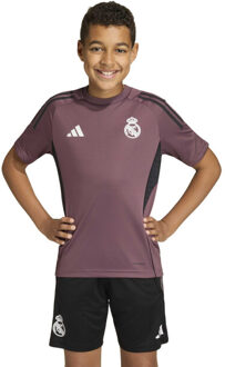 adidas real tr jsy y replica voetbal trainingshirt korte mouw jongens - Paars - 176