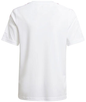 adidas Squadra 21 jersey voor kinderen Wit - 128
