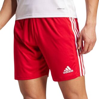 adidas Squadra 21 Shorts - Rode Shorts Rood - L