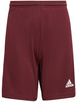 adidas Squadra 21 Shorts Youth - Voetbalbroekje Kinderen Rood - 116