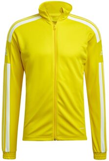 adidas Squadra 21 Training Jacket - Geel - Heren - maat  XL