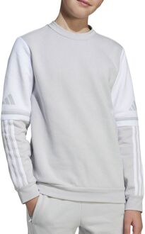 adidas Squadra 25 Sweater Junior - 176