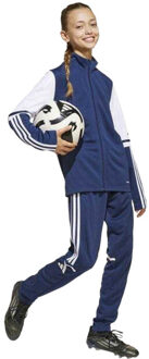 adidas Squadra 25 trainingsjack voor kinderen/kinderen Blauw - 152