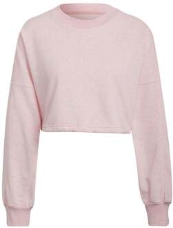 adidas Studio Lounge Summer Crew Sweatshirt Dames roze - XS