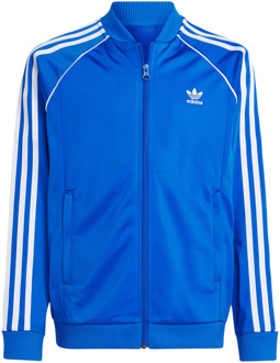 adidas Superstar Trainingspakken Kinder - Blauw - Maat 159 - 164 CM - Katoen Canvas Blue