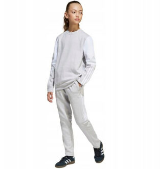 adidas Sweatshirt met ronde hals squadra 25 voor kinderen/kinderen - maat 146 Grijs