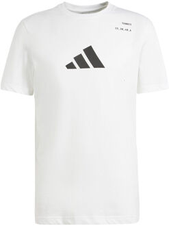 adidas T-shirt Heren wit - XL