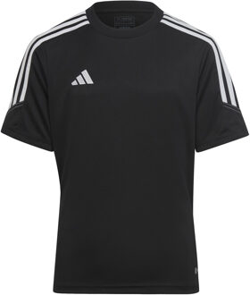 adidas T-shirt Korte Mouw adidas  TIRO23 CBTRJSYY