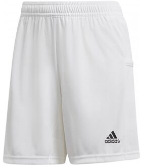 adidas T19 Knitted Short Dames - Wit - maat XL