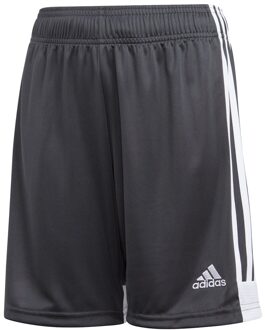 adidas Tastigo 19 Short JR - Grijs Voetbalbroekje - 140