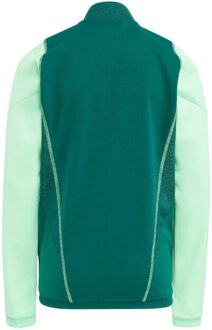 adidas Tiro 23 trainingsjack voor kinderen/kinderen Groen - 146/152