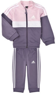 adidas Trainingspak adidas I TIBERIO TS" Violet - 3 / 6 maanden,9 / 12 maanden,0 / 3 maanden