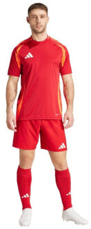 adidas Wedstrijdshort heren tiro 24 Rood - M
