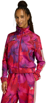 adidas X Farm Rio House Of Tiro Track Top Jassen Dames - Beige - Maat 38 - Poly Mesh