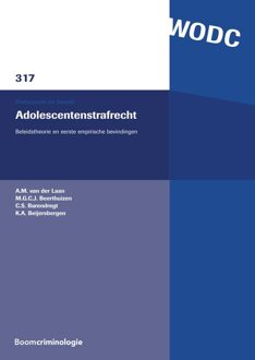 Adolescentenstrafrecht - eBook A.M. van der Laan (9462746427)