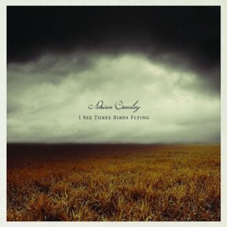 Adrian Crowley - I See Three Birds Flying