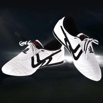 Adult Unisex Chinese Traditional Shoes Martial Arts Shoes Taekwondo Breathable Wushu Kung Fu Tai Chi Shoes for Training