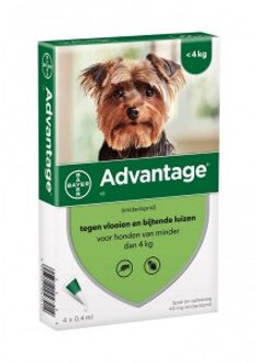 Advantage 40 Hond 4 pip - Anti vlooien en luizenmiddel - 0.4 ml - 1.5-4 Kg