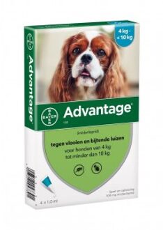 Advantage Nr. 100 vlooienmiddel (4 tot 10kg) hond 1 verpakking