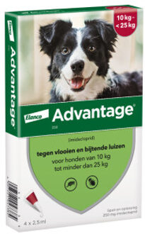 Advantage Nr. 250 vlooienmiddel (10 tot 25kg) hond 1 verpakking