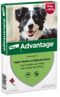 Advantage Nr. 250 vlooienmiddel (10 tot 25kg) hond 1 verpakking