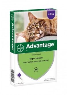 Advantage Nr. 80 Vlooienmiddel (vanaf 4kg) kat 1 verpakking