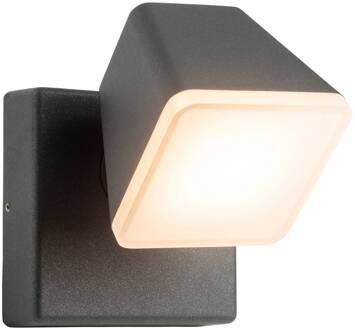 AEG Isacco LED buitenwandlamp antraciet