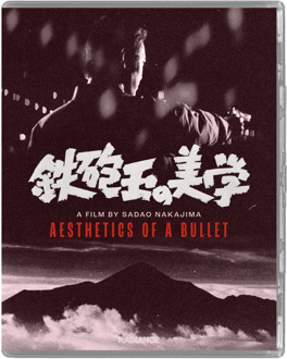 Aesthetics of a Bullet (Limited Edition)