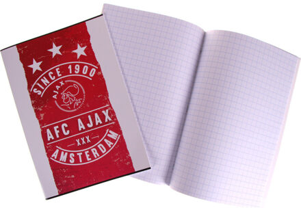AFC Ajax A4 schrift geruit since 1900
