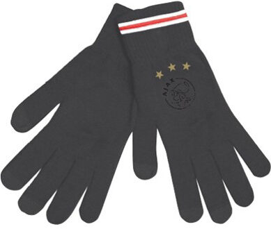 AFC Ajax handschoenen junior, maat M