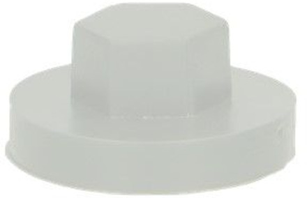 Afdekkap zeskant SW 5/16" (16mm) R7035 - 0AFD05N00016070355