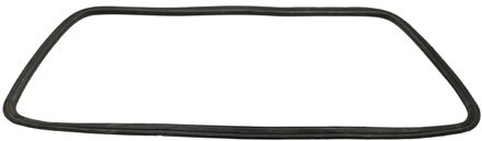 Afdichting achterruit